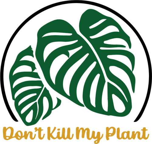 Don't Kill My Plant